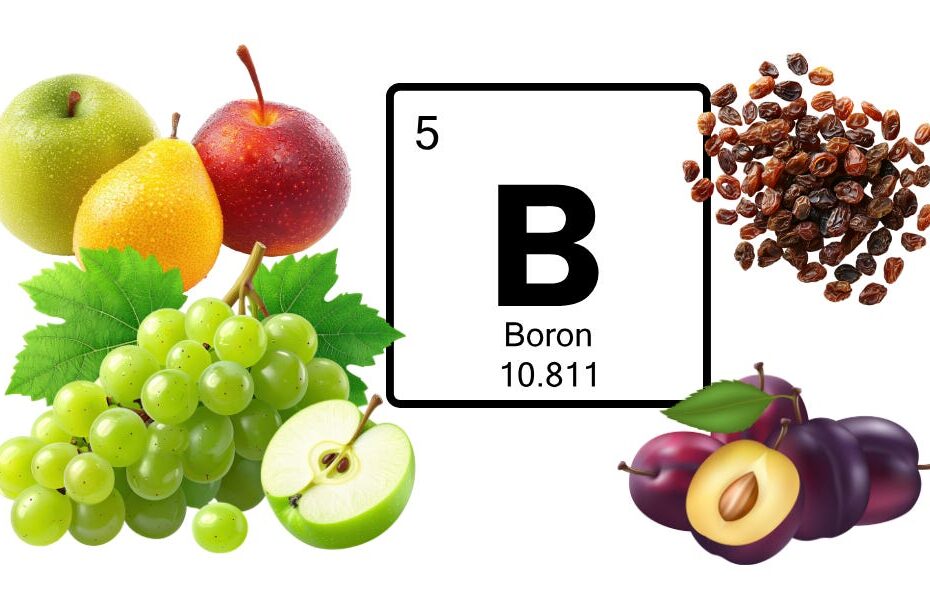 Boron: The Quiet Mineral That Supports Hormones, Bones, and Brain Health