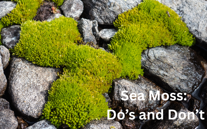 Sea Moss: Dosing, Benefits & Safety Guide