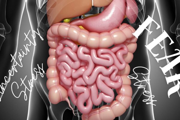 Understanding the Connection Between Stress and Digestive Health