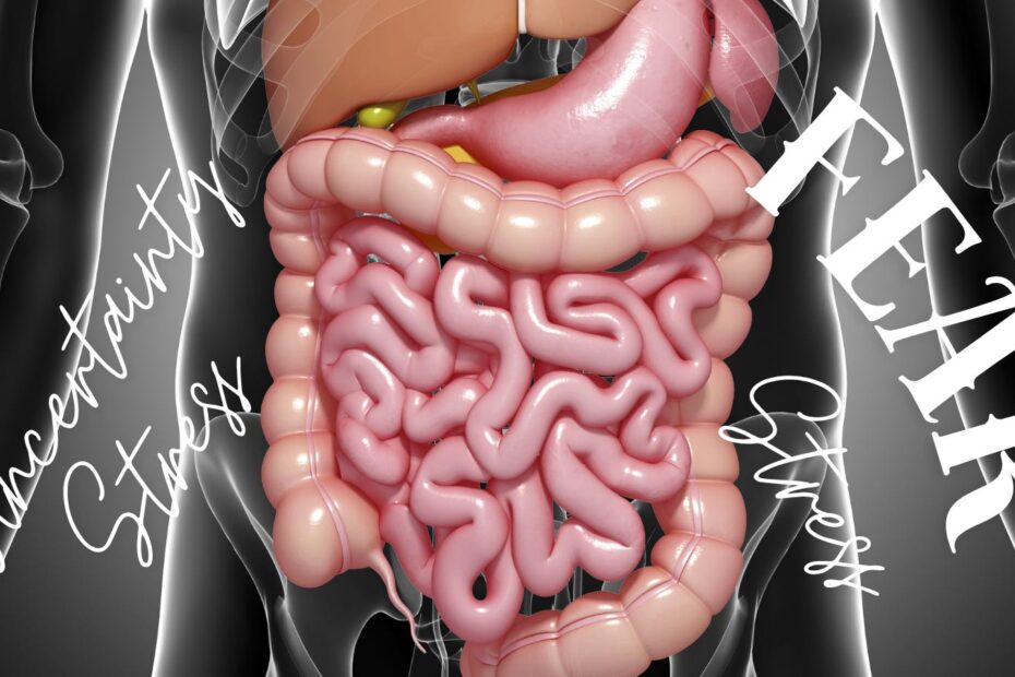 Understanding the Connection Between Stress and Digestive Health